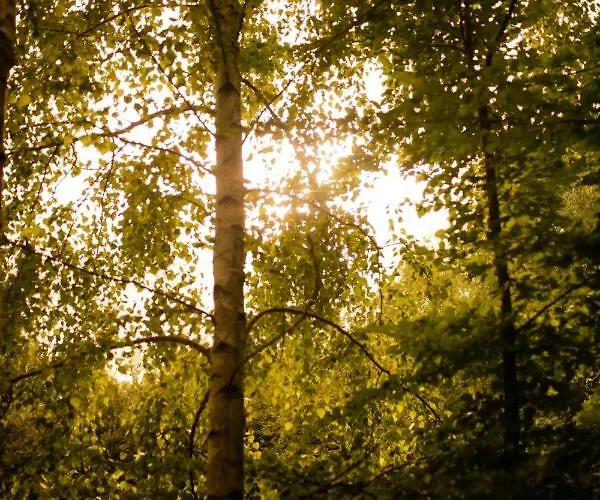 Kompleks wypoczynkowy Biwak U Gazdy